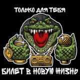 Билет в новую жизнь 📗🐊📗