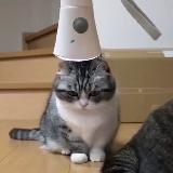 🔥Халява от Skay 🔥 | 🔥Freebies no Skay 🔥