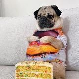 Kekz93 ‼️ из тик тока ‼️