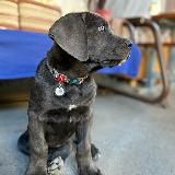 A cool life with two