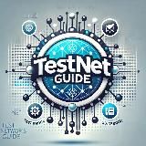 Testnet Guide