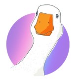 Мы тут @mister_goose_all