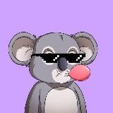 Crypto Koala 🐨