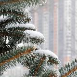 Купчино. Фото