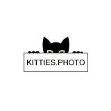 КОТИКИ И КОШЕЧКИ