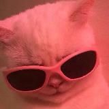 мемы на все случаи жизни