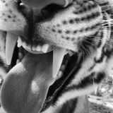 душа моей души