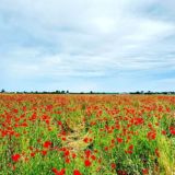 Балтийский чат