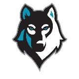 wolf_hockey_bet/прогнозы на хоккей