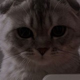 дневник молодых