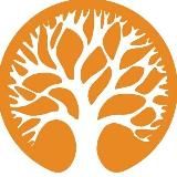 Мастерская йоги 🧘♂️