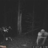 💀Paranormal Group💀