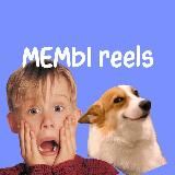 только МЕМЫ / смешные видео / футажи