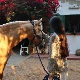 𝚂𝚘𝚞𝚕 قلب