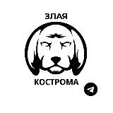 Злая Кострома | Новости 24/7