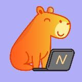 Networkio — релокация и карьера за рубежом