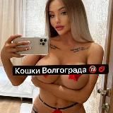 Кошки Волгограда🔞💋