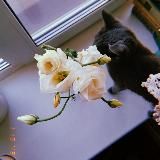 Варагина пишет❤️🩹