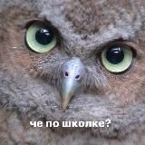 че по школке?
