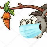 Финансовая Морковка