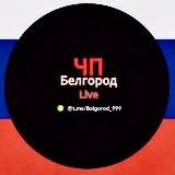НОВОСТНИК БЕЛГОРОД 🤯