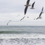 Открывая Кенигсберг