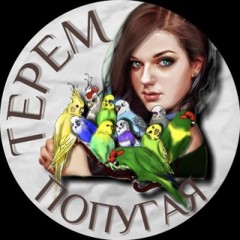 Терем Попугая ЧАТ🦜