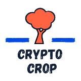 CRYPTO CROP
