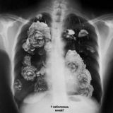 💔†̰̰ Р̰̰ҩ̰̰н̰̰ҽ̰̰н̰̰н̰̰ы̰̰̰̰́е̰̰ д̰̰у̰̰̰̰́ш̰̰и̰̰ †̰̰💔