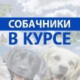 Собачники | В курсе 🐶 👉 Собаки, пёсики, собакены 🐕