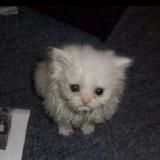 ‎⁨disappear from sight^⁩
