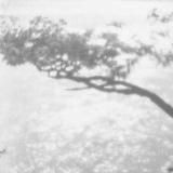 χαρις дарить