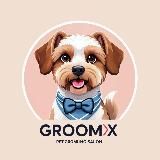 Груминг Сочи Groom X