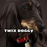 😏Коти вояки💥