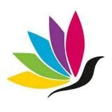 Культурная афиша Тарусы