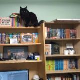 murmuria 👀 болталочка