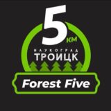 ЧАТ Forest Five