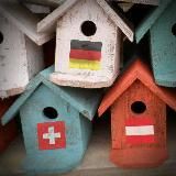 Тем временем на крыше