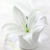 Запись на консультацию