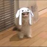 Общение по токе💗