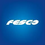 Транспортная группа FESCO