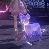 𝘩𝘦𝘭𝘭𝘰𝘬𝘪𝘵𝘵𝘺_𝘨𝘪𝘳𝘭_𝘹 彡
