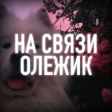 На связи Олежик