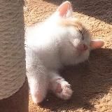 незамысловатый канал