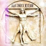 Анатомия жизни