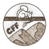 Carolina Furfare 2024: Medieval in the Mountains