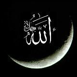 В поисках истины