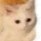 история одного джи чат