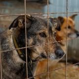 ПП КОВЧЕГ Ульяновск