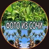 Фото из Сочи